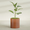 Rio Grande Medium Round Fiberglass Planter - 22 in x 22 in x 22 in - Matte Terracotta - Matte Terracotta,22 in x 22 in x 22 in