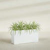 Hollywood Extra Large Narrow Rectangle Fiberglass Planter - 48 in x 12 in x 24 in - Matte White - Matte White,48 in x 12 in x 24 in