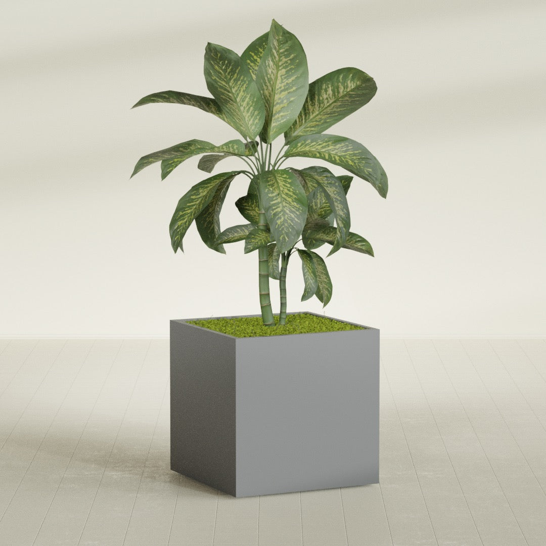 Montroy Large Cube Square Fiberglass Planter - 36 in x 36 in x 36 in - Metallic Gunmetal - Metallic Gunmetal,36 in x 36 in x 36 in