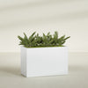 Brisbane Extra Large Long Rectangle Fiberglass Planter - 48 in x 24 in x 32 in - Gloss White - Gloss White,48 in x 24 in x 32 in
