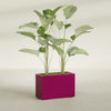 Tolga Large Rectangle Fiberglass Planter - 36 in x 16 in x 24 in - Gloss Eggplant - Gloss Eggplant,36 in x 16 in x 24 in