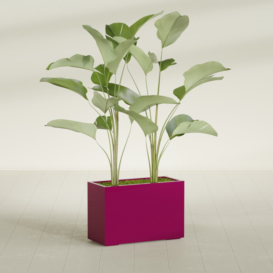 Tolga Large Rectangle Fiberglass Planter - 36 in x 16 in x 24 in - Gloss Eggplant - Gloss Eggplant,36 in x 16 in x 24 in