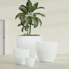 Wannsee Extra Large Round Fiberglass Planter - 50 in x 50 in x 44 in - Gloss White - Gloss White,50 in x 50 in x 44 in