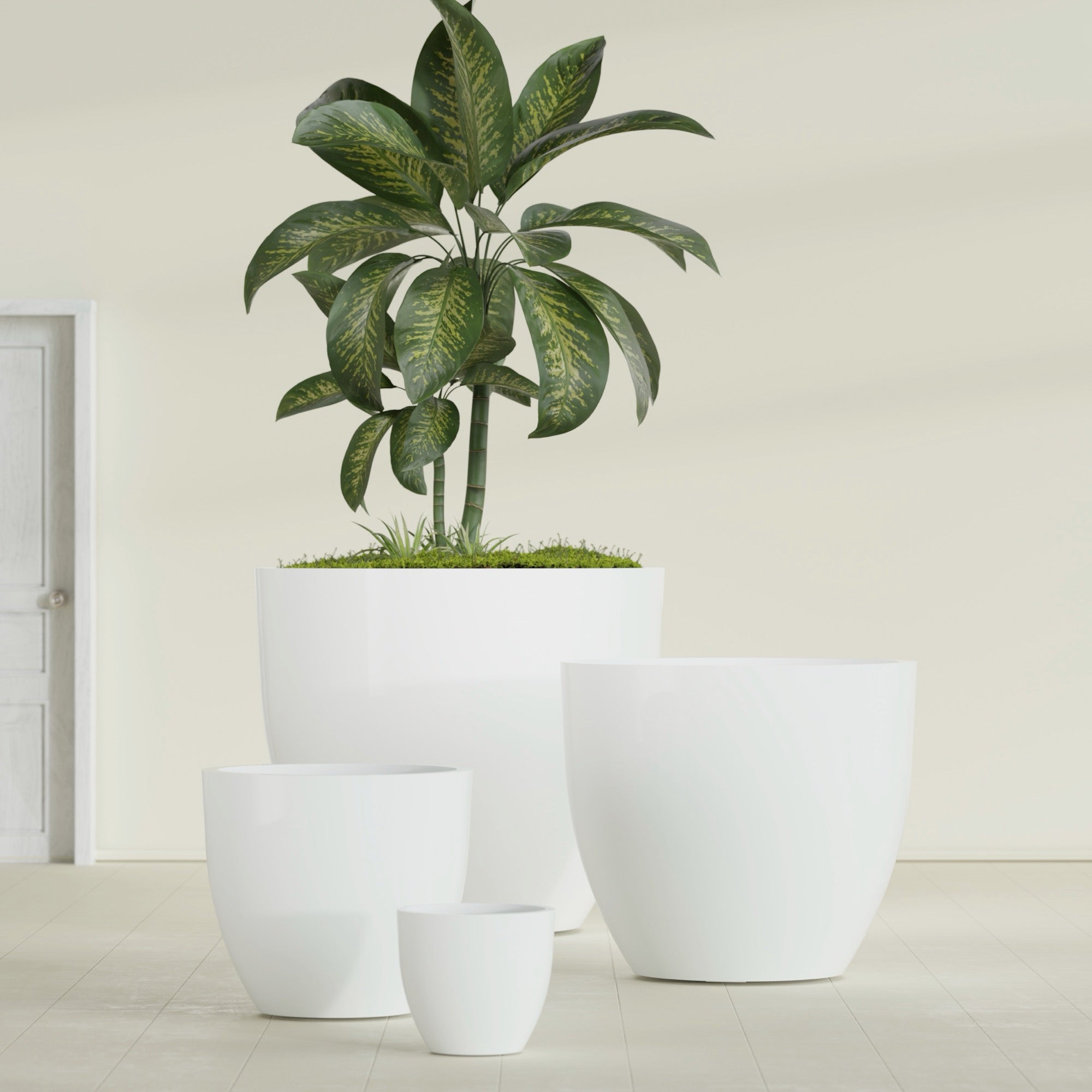 Wannsee Extra Large Round Fiberglass Planter - 50 in x 50 in x 44 in - Gloss White - Gloss White,50 in x 50 in x 44 in