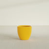 Wannsee Medium Round Fiberglass Planter - 27 in x 27 in x 24 in - Gloss Saffron - Gloss Saffron,27 in x 27 in x 24 in