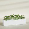 Miami Extra Large Narrow Rectangle Fiberglass Planter - 72 in x 12 in x 18 in - Matte White - Matte White,72 in x 12 in x 18 in