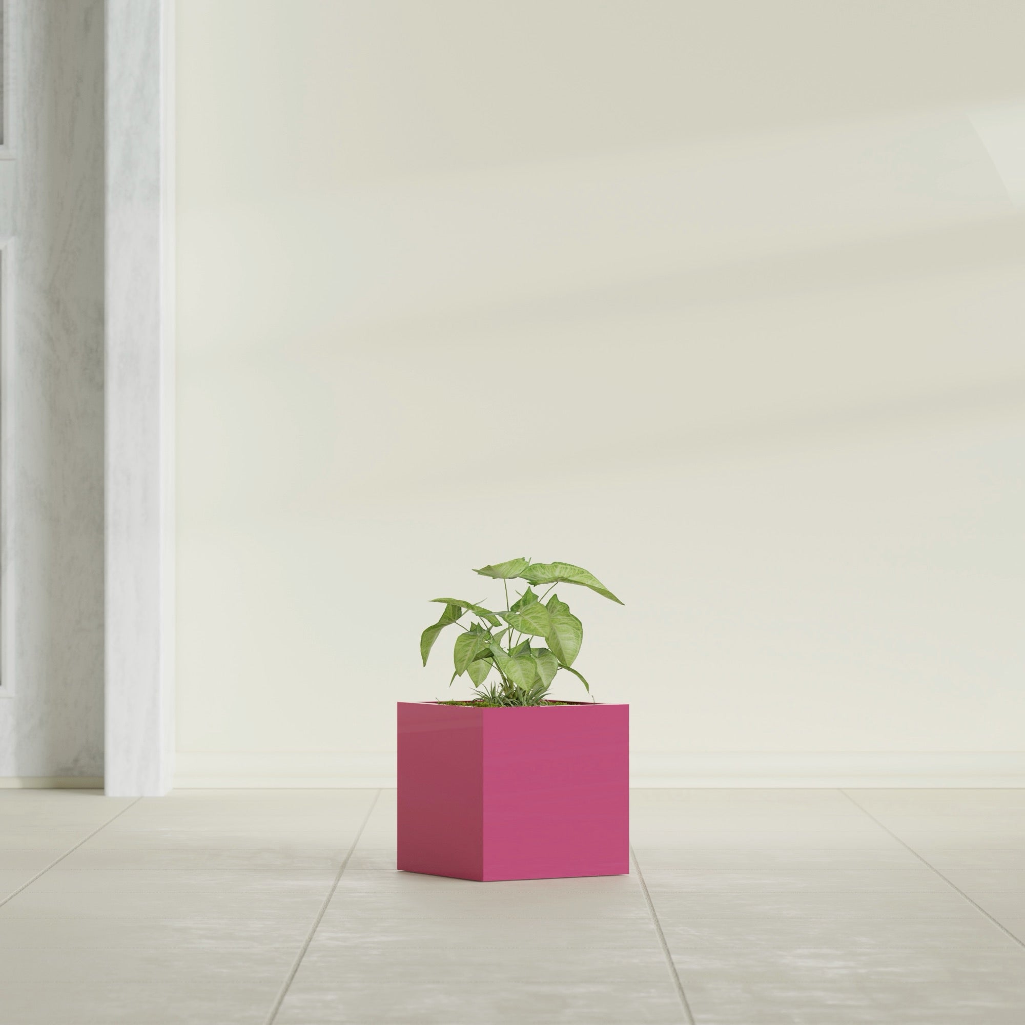 Monaco Square - 7in x 7in x 7 - Gloss Pink Violet - Gloss Pink Violet,7 in x 7 in x 7 in