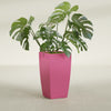 Toulan Large Tall Tapered Square Fiberglass Planter - 16 in x 16 in x 30 in - Gloss Pink Violet - Gloss Pink Violet,16 in x 16 in x 30 in