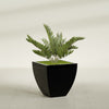 Lima Medium Tapered Square Fiberglass Planter - 24 in x 24 in x 24 in - Gloss Black - Gloss Black,24 in x 24 in x 24 in