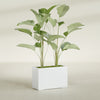 Tolga Large Rectangle Fiberglass Planter - 36 in x 16 in x 24 in - Matte White - Matte White,36 in x 16 in x 24 in