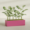 Torino Extra Large Wide Rectangle Fiberglass Planter - 60 in x 24 in x 18 in - Gloss Pink Violet - Gloss Pink Violet,60 in x 24 in x 18 in