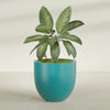 Alzira Large Round Fiberglass Planter - 36 in x 36 in x 34 in - Satin Sea Foam - Satin Sea Foam,36 in x 36 in x 34 in