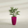 Brannan Medium Round Fiberglass Planter - 18 in x 18 in x 29 in - Gloss Eggplant - Gloss Eggplant,18 in x 18 in x 29 in