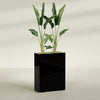 Amesbury Large Narrow Rectangle Fiberglass Planter - 24 in x 10 in x 32 in - Gloss Black - Gloss Black,24 in x 10 in x 32 in