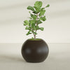 Globe Large Sphere Fiberglass Planter - 30 in x 30 in x 24 in - Matte Brown - Matte Brown,30 in x 30 in x 24 in