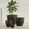 Wannsee Extra Large Round Fiberglass Planter - 50 in x 50 in x 44 in - Matte Brown - Matte Brown,50 in x 50 in x 44 in