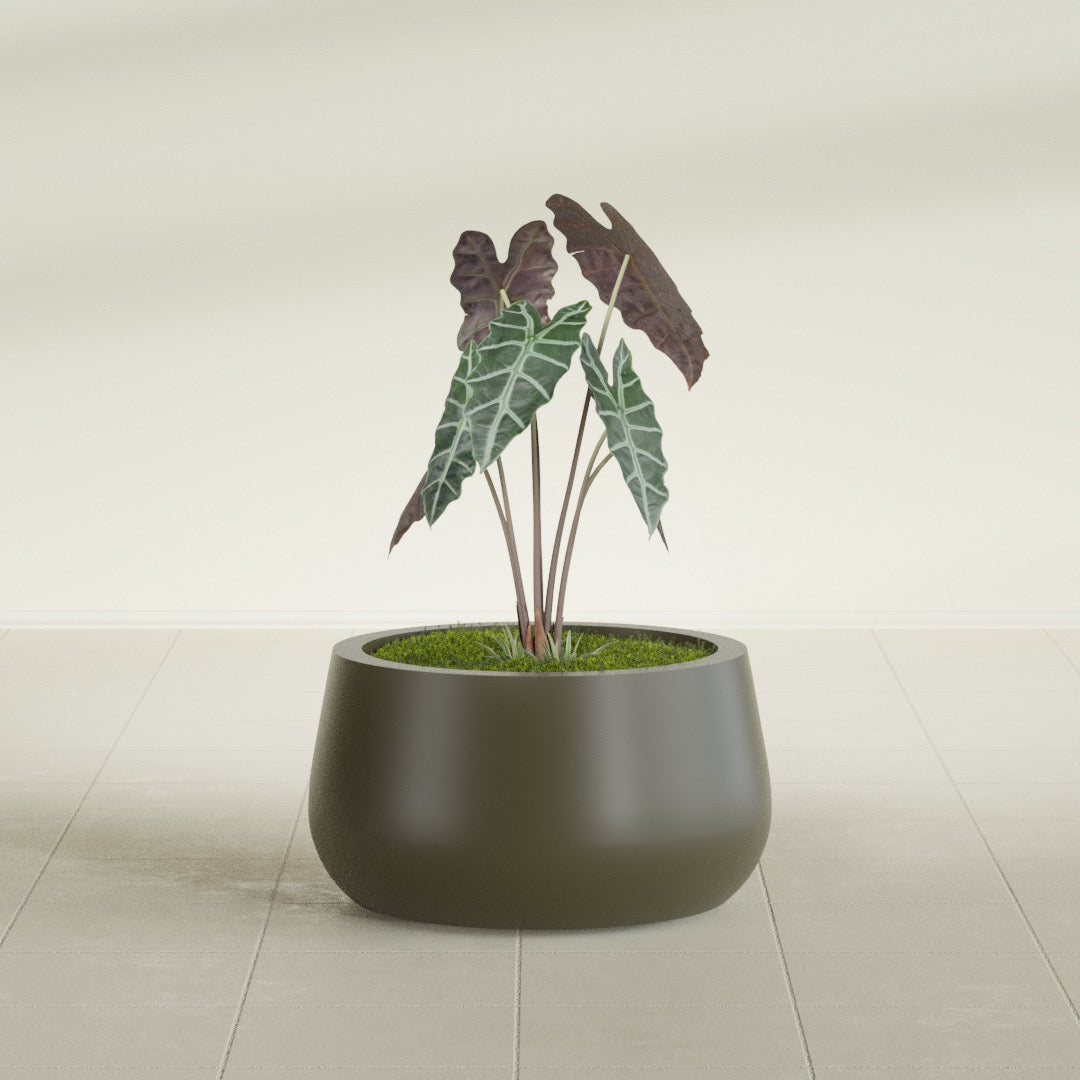 Short Hayden Small Round Fiberglass Planter - 16 in x 16 in x 8 in - Matte Bronze - Matte Bronze,16 in x 16 in x 8 in