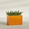 Brisbane Extra Large Long Rectangle Fiberglass Planter - 48 in x 24 in x 32 in - Gloss Tangerine - Gloss Tangerine,48 in x 24 in x 32 in