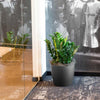 Harrison Small Round Plastic Planter - 13 in x 13 in x 11.6 in - Black - Black,13 in x 13 in x 11.6 in