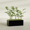 Torino Extra Large Wide Rectangle Fiberglass Planter - 48 in x 24 in x 18 in - Gloss Black - Gloss Black,48 in x 24 in x 18 in