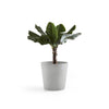 Amsterdam Medium Round Planter - 27.5 in x 27.5 in x 24 in - White Grey - White Grey,27.5 in x 27.5 in x 24 in,Planter Only