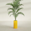 Corry Medium Tall Cylinder Fiberglass Planter - 10 in x 10 in x 20 in - Gloss Saffron - Gloss Saffron,10 in x 10 in x 20 in