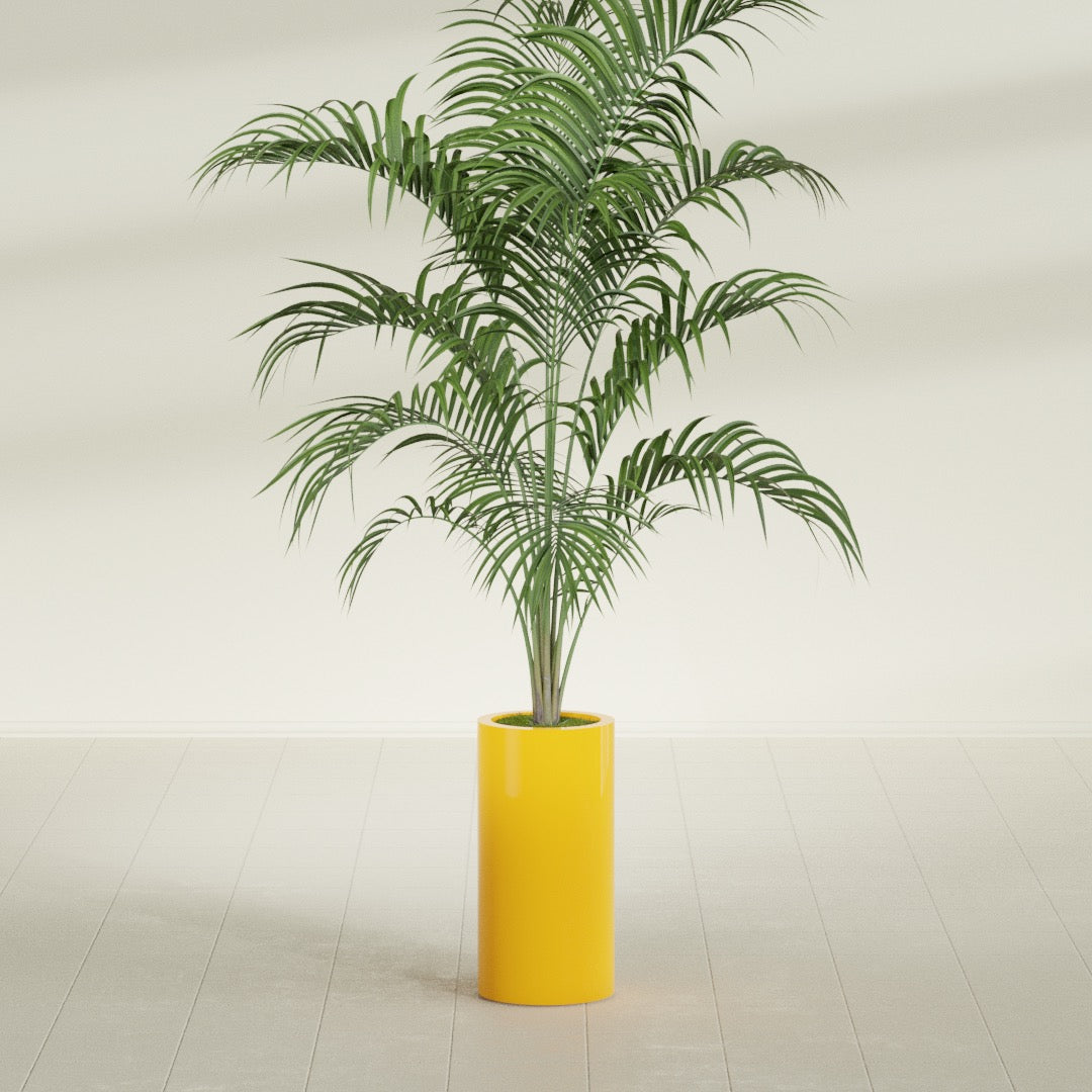 Corry Medium Tall Cylinder Fiberglass Planter - 10 in x 10 in x 20 in - Gloss Saffron - Gloss Saffron,10 in x 10 in x 20 in