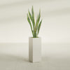 Perth Large Tall Rectangle Fiberglass Planter - 16 in x 16 in x 42 in - Satin Beige - Satin Beige,16 in x 16 in x 42 in
