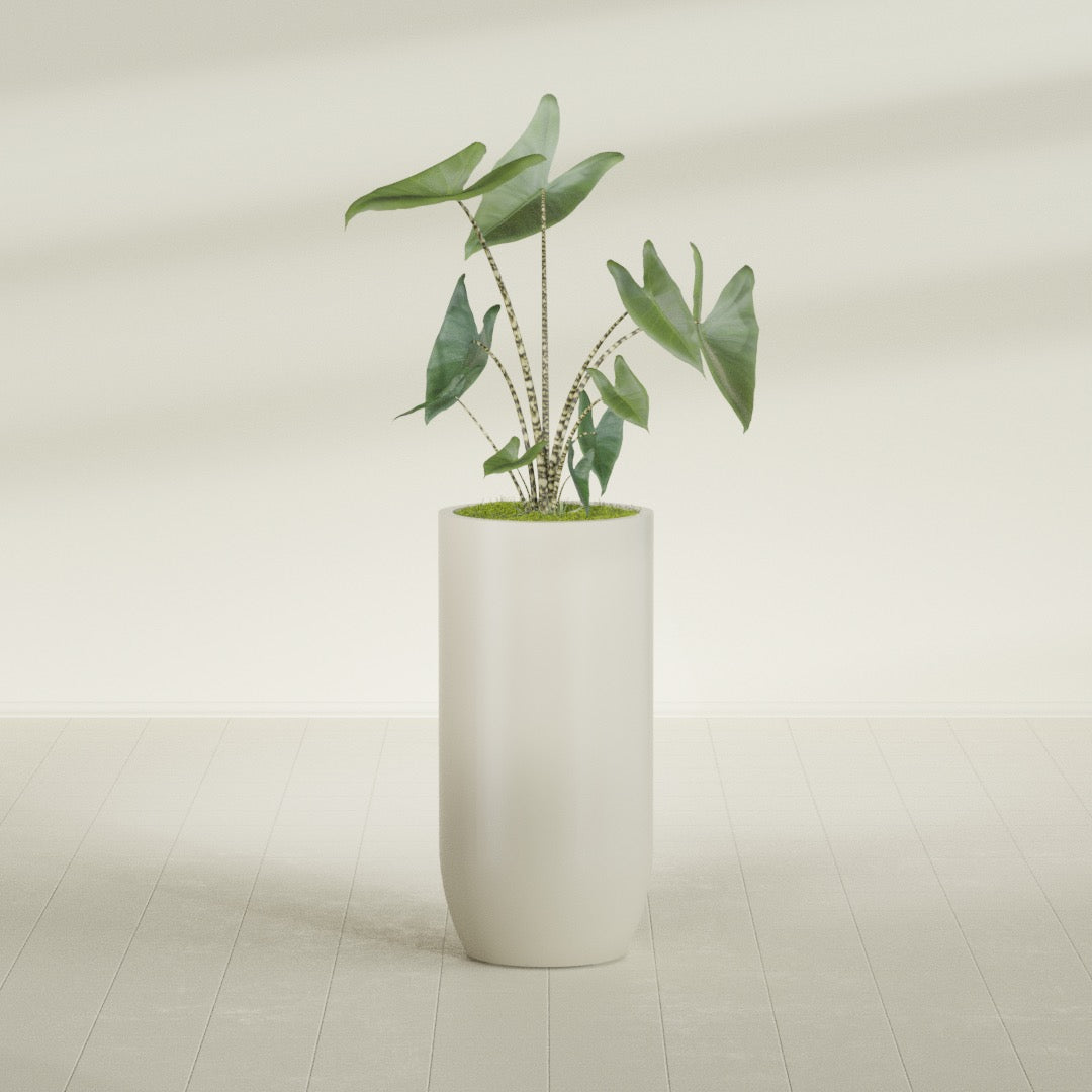 Saint Tropez Extra Large Tall Round Fiberglass Planter - 24 in x 24 in x 50 in - Satin Beige - Satin Beige,24 in x 24 in x 50 in