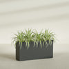 Hollywood Extra Large Narrow Rectangle Fiberglass Planter - 48 in x 12 in x 24 in - Matte Charcoal - Matte Charcoal,48 in x 12 in x 24 in