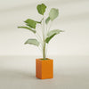 Tolga Medium Rectangle Fiberglass Planter - 16 in x 16 in x 24 in - Gloss Tangerine - Gloss Tangerine,16 in x 16 in x 24 in