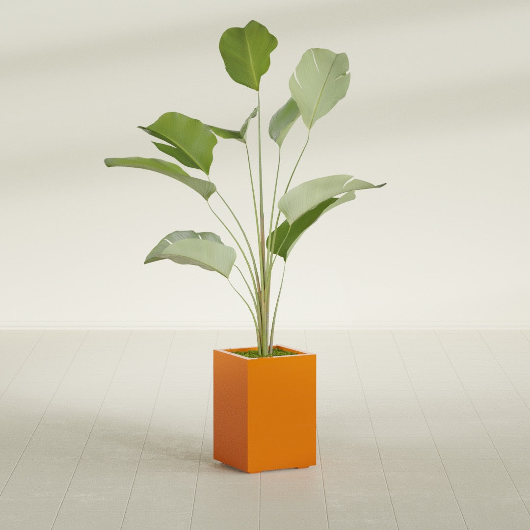 Tolga Medium Rectangle Fiberglass Planter - 16 in x 16 in x 24 in - Gloss Tangerine - Gloss Tangerine,16 in x 16 in x 24 in