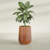Tall Hayden Medium Round Fiberglass Planter - 15 in x 15 in x 23 in - Matte Terracotta - Matte Terracotta,15 in x 15 in x 23 in