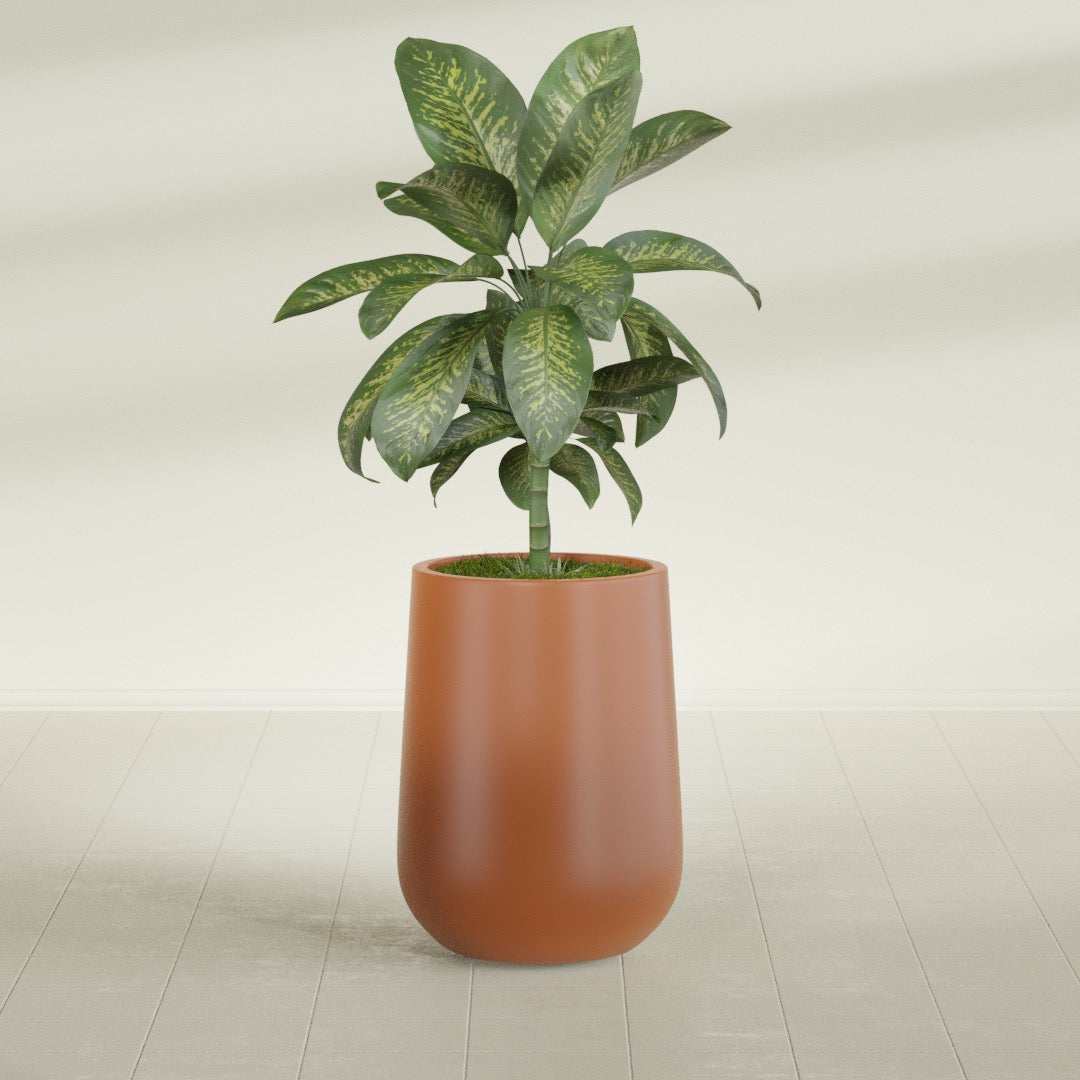 Tall Hayden Medium Round Fiberglass Planter - 15 in x 15 in x 23 in - Matte Terracotta - Matte Terracotta,15 in x 15 in x 23 in