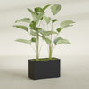 Tolga Large Rectangle Fiberglass Planter - 36 in x 16 in x 24 in - Matte Black - Matte Black,36 in x 16 in x 24 in