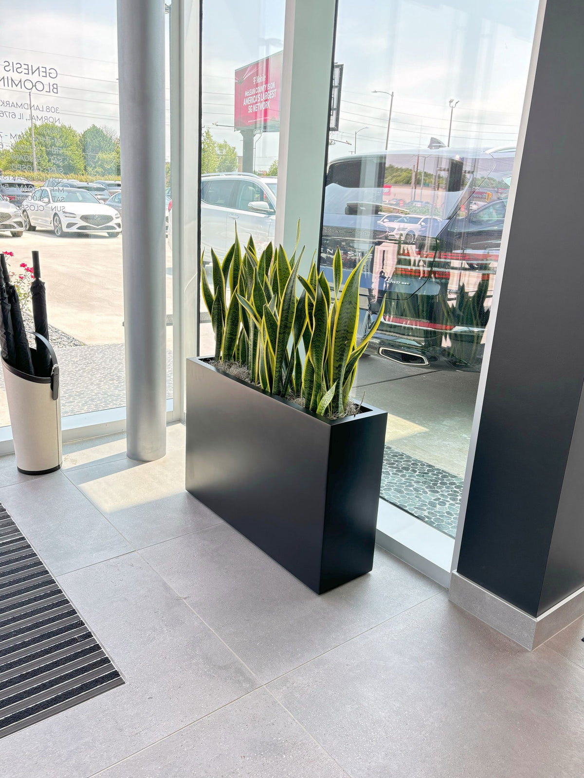 Interiorscaping Helps Create Welcoming Environment at Central Illinois Car Dealership – photo 6