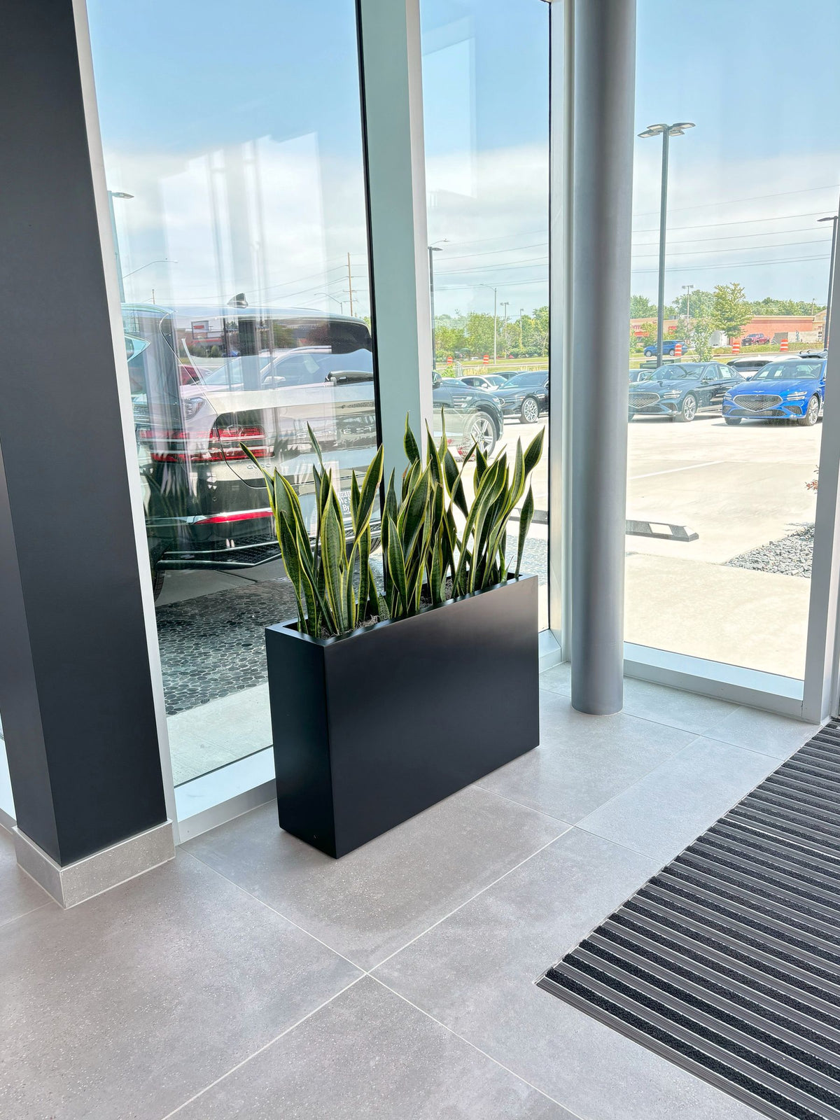 Interiorscaping Helps Create Welcoming Environment at Central Illinois Car Dealership – photo 3