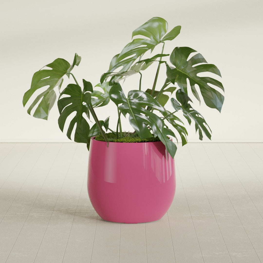 Westfield - 23in diam. x 21in - Gloss Pink Violet - Gloss Pink Violet,23 in diam. x 21 in H