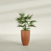 Brannan Medium Round Fiberglass Planter - 18 in x 18 in x 29 in - Matte Terracotta - Matte Terracotta,18 in x 18 in x 29 in