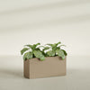 Miami Large Narrow Rectangle Fiberglass Planter - 36 in x 12 in x 18 in - Metallic Gold - Metallic Gold,36 in x 12 in x 18 in