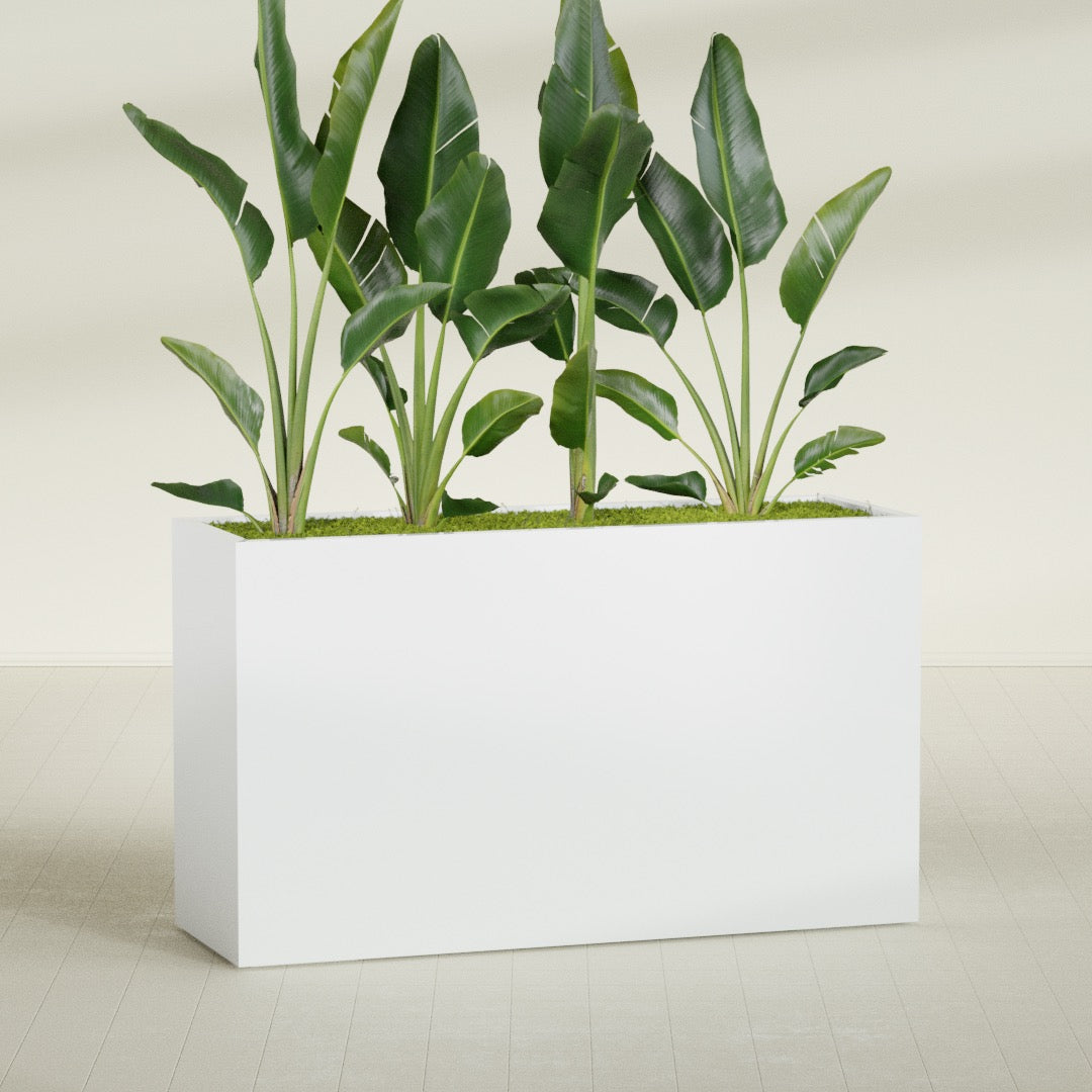 Darwin Extra Large Long Rectangle Fiberglass Planter - 72 in x 24 in x 42 in - Matte White - Matte White,72 in x 24 in x 42 in