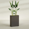 Amesbury Large Narrow Rectangle Fiberglass Planter - 24 in x 10 in x 32 in - Matte Brown - Matte Brown,24 in x 10 in x 32 in