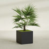 Montroy Large Cube Square Fiberglass Planter - 32 in x 32 in x 32 in - Matte Black - Matte Black,32 in x 32 in x 32 in