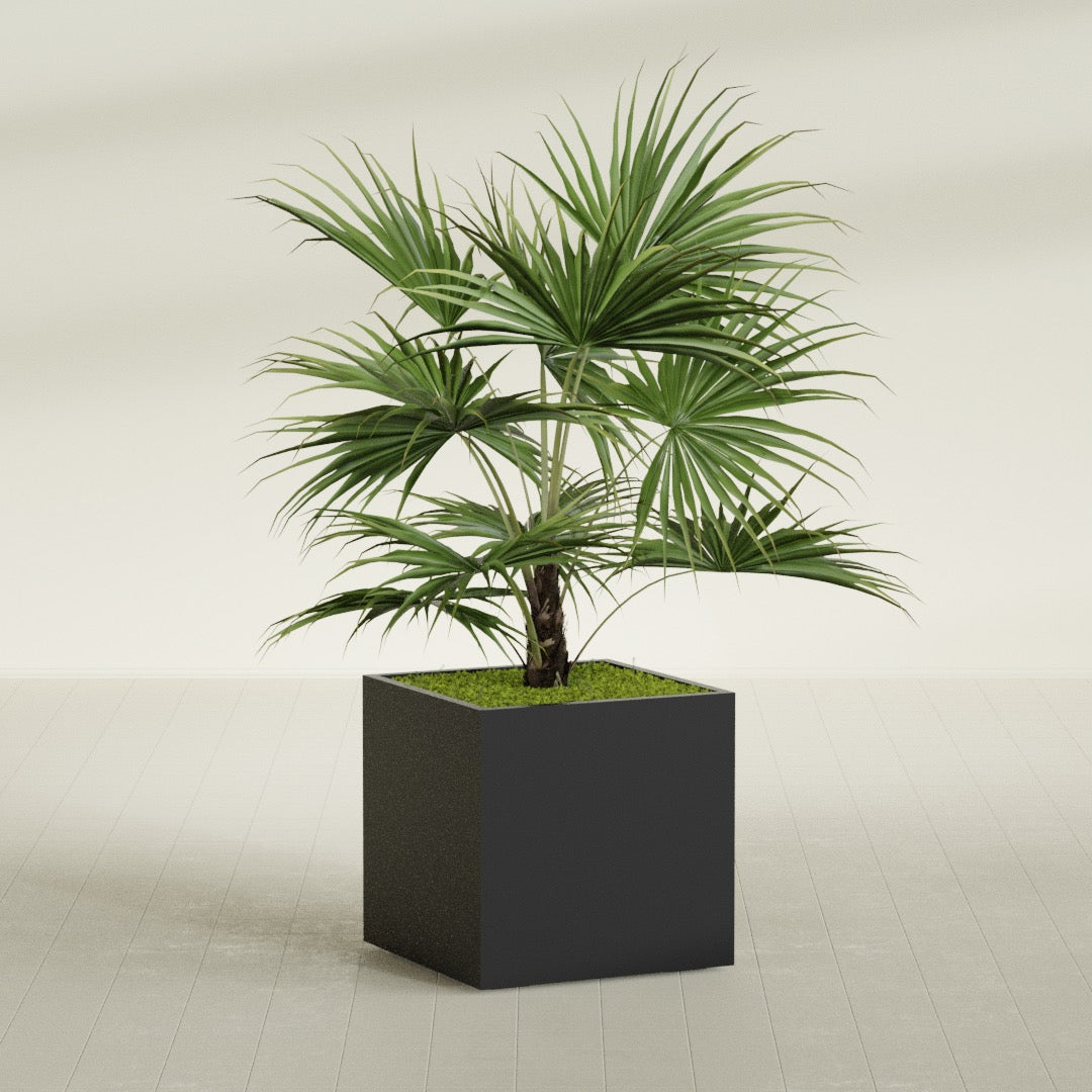 Montroy Large Cube Square Fiberglass Planter - 32 in x 32 in x 32 in - Matte Black - Matte Black,32 in x 32 in x 32 in