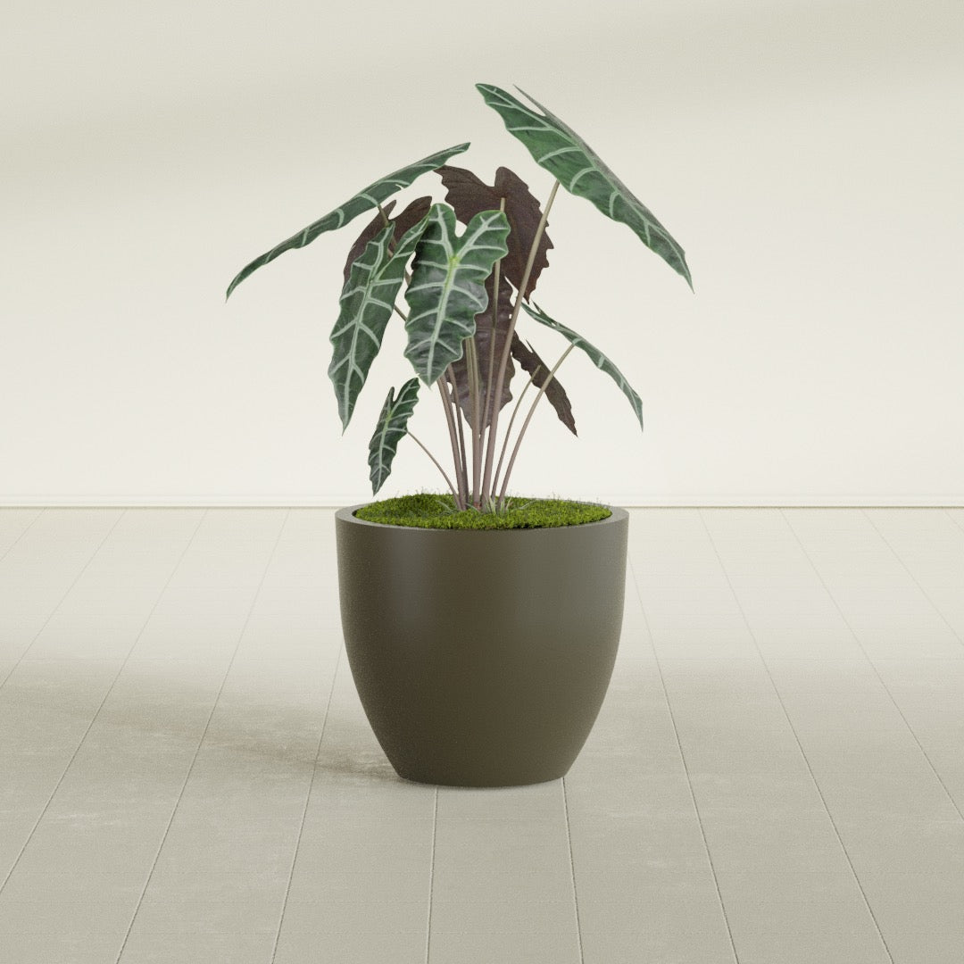 Wannsee Medium Round Fiberglass Planter - 27 in x 27 in x 24 in - Matte Bronze - Matte Bronze,27 in x 27 in x 24 in