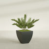Lima Medium Tapered Square Fiberglass Planter - 20 in x 20 in x 20 in - Matte Charcoal - Matte Charcoal,20 in x 20 in x 20 in