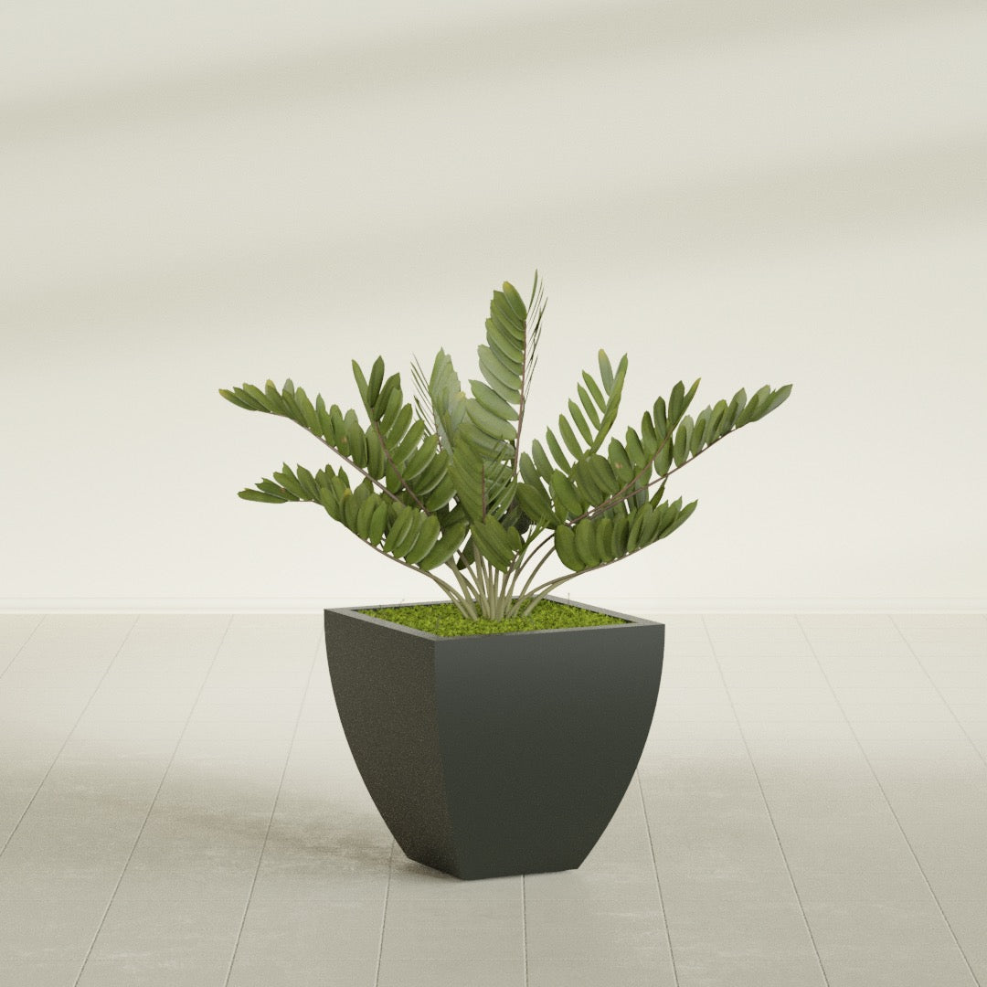 Lima Medium Tapered Square Fiberglass Planter - 20 in x 20 in x 20 in - Matte Charcoal - Matte Charcoal,20 in x 20 in x 20 in