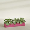 Salon Large Tall Rectangle Fiberglass Planter - 48 in x 8 in x 8 in - Gloss Pink Violet - Gloss Pink Violet,48 in x 8 in x 8 in