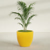 Wannsee Large Round Fiberglass Planter - 39 in x 39 in x 34 in - Gloss Saffron - Gloss Saffron,39 in x 39 in x 34 in