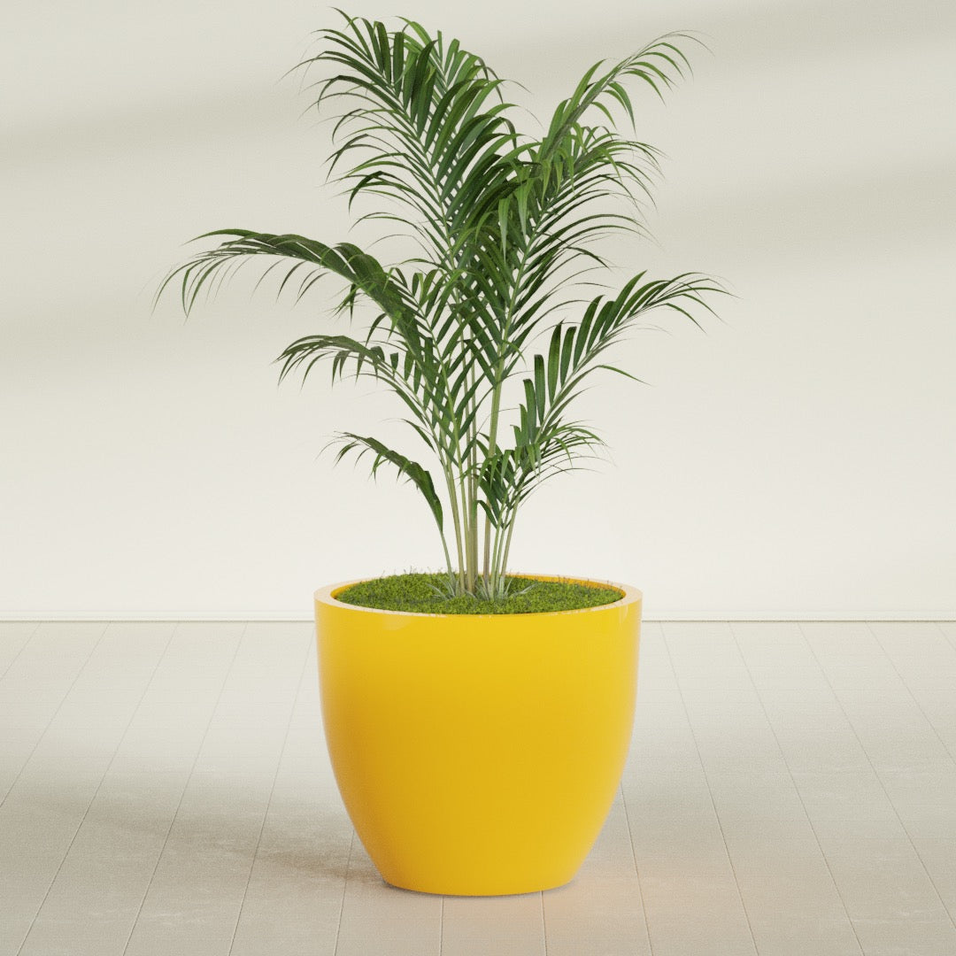 Wannsee Large Round Fiberglass Planter - 39 in x 39 in x 34 in - Gloss Saffron - Gloss Saffron,39 in x 39 in x 34 in